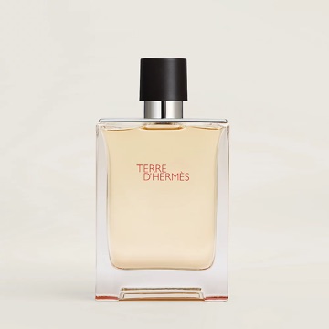 Hermès Terre d'Hermès Eau de toilette 100 ml